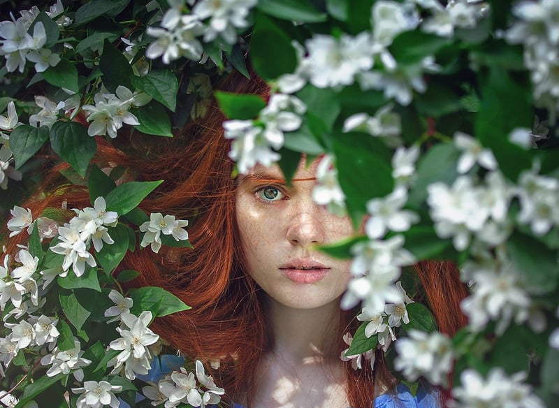 Whimsical Forests